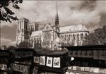 166 Notre Dame